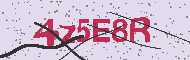 Ungültiger Sicherheitscode